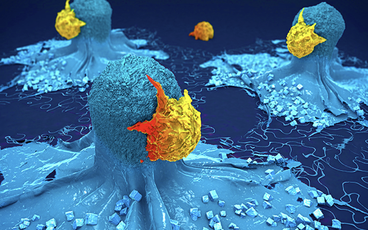 isolated-cancer-cell